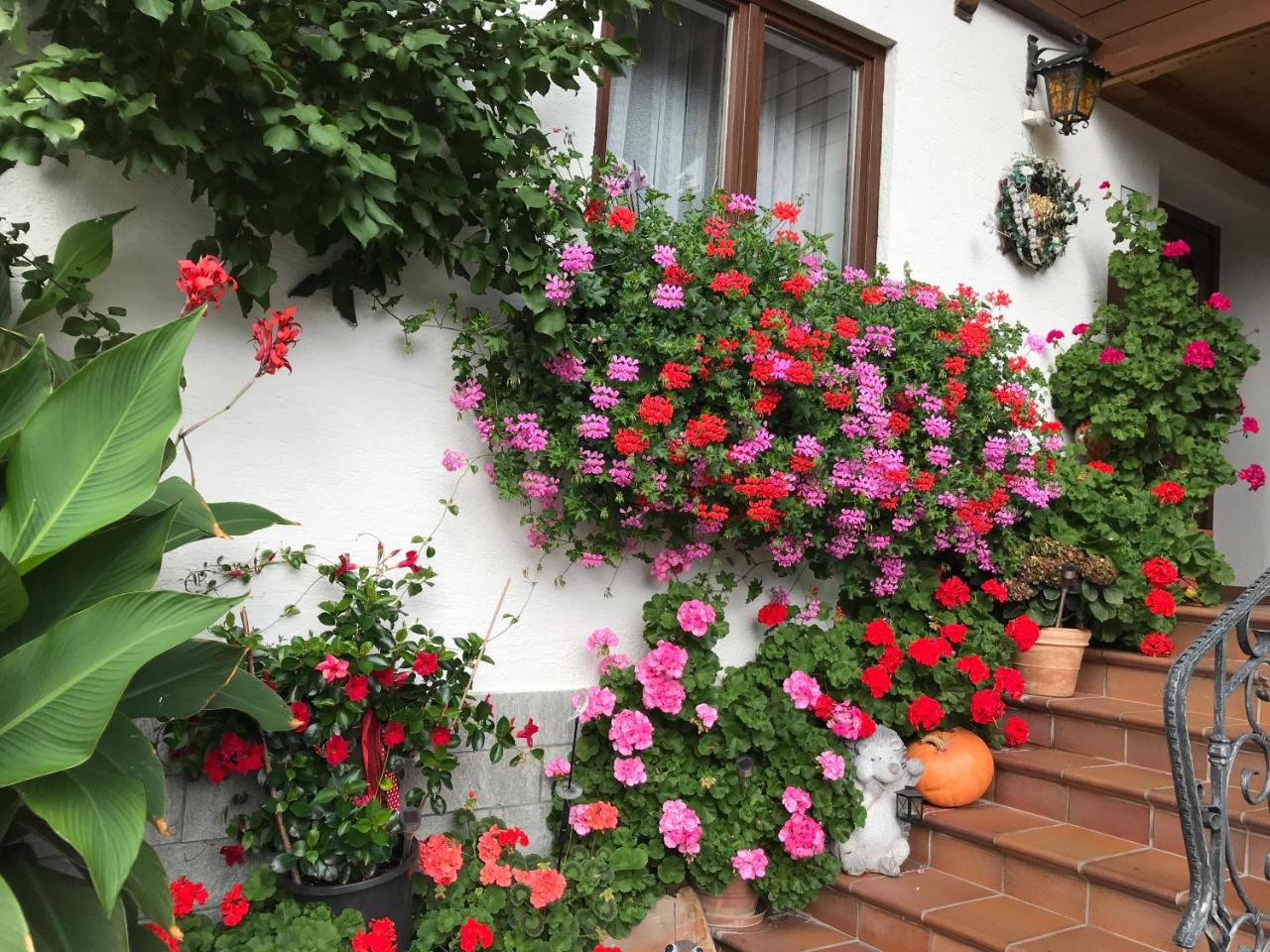 Hotel Haus Katharina Wagrain Exterior foto